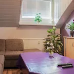 Zur Rosi Apartment *